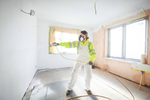 Best Ceiling Drywall Installation  in Odem, TX